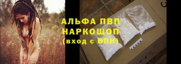 ПСИЛОЦИБИНОВЫЕ ГРИБЫ Кодинск