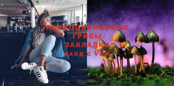 ПСИЛОЦИБИНОВЫЕ ГРИБЫ Кодинск